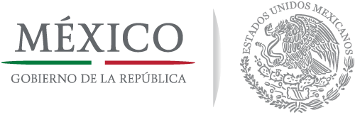 gobierno logo